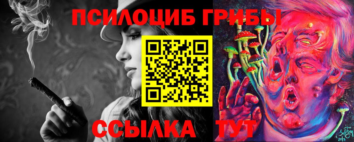 Псилоцибиновые грибы прущие грибы  Галлюциногенные грибы прущие грибы  Искитим  Вход с VPN 
